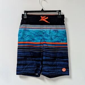 NWOT Boys Swim Trunks | Size L (14-16)